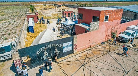 A la fecha sólo se han detenido a 19 personas, entre ellas ex policías municipales de Tala y al ex alcalde de Teuchitlán. EL INFORMADOR/A. Navarro