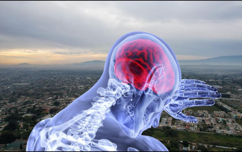 Así podría afectar la contaminación ambiental el riesgo de obtener esta grave enfermedad. EL INFORMADOR / ARCHIVO