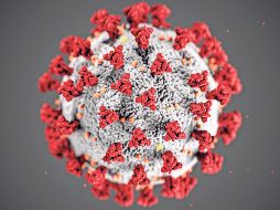 Hasta el 14 de enero de 2026 se habían registrado en México seis mil 819 casos confirmados de sarampión. EFE / ARCHIVO