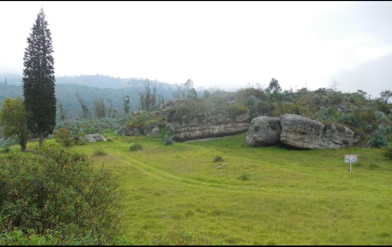 Los resultados del análisis sugieren que T.pallidum es anterior al auge de la agricultura en América. EFE / Fotografía facilitada por Angélica Triana