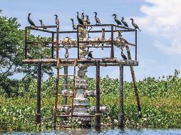 Los autores del estudio auguran una caída de GNL del 1% en Sudamérica y en Centroamérica. SUN/ARCHIVO