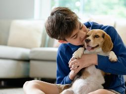 El Beagle es una excelente opción para casas con niños pequeños. ESPECIAL / CANVA