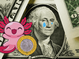 La última vez que el dólar cerró en un nivel tan bajo fue el 31 de mayo de 2024. ESPECIAL / CANVA