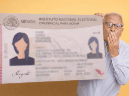 Para realizar la reposición de tu INE, es importante seguir algunos pasos. UNSPLASH / krakenimages