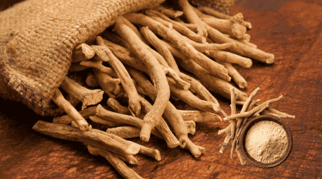 Es recomendable informarse adecuadamente y consultar a un profesional de la salud antes de incorporarla de manera regular. CANVA