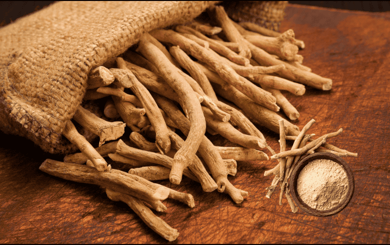 Es recomendable informarse adecuadamente y consultar a un profesional de la salud antes de incorporarla de manera regular. CANVA