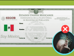 En entidades como la Ciudad de México, Guadalajara y Monterrey ya operan módulos itinerantes enfocados en la atención a adultos mayores, con el fin de agilizar este trámite, el cual es completamente gratuito. ARCHIVO/INFORMADOR