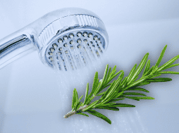 Para aprovechar al máximo sus efectos, se recomienda colgar una ramita fresca cerca de la regadera o colocarla en un recipiente seco. ESPECIAL / CANVA