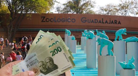 El Zoológico Guadalajara está ubicado en la Barranca de Huentitán, y es una opción ideal para planes familiares, escolares y turísticos. ESPECIAL / EL INFORMADOR y CANVA