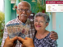 El INAPAM es una de las instituciones encargadas de promover el bienestar integral de las personas mayores de 60 años en nuestro país. ESPECIAL / CANVA e INAPAM