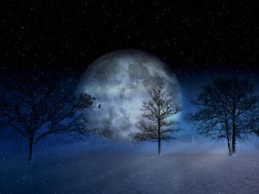 El plenilunio conocido como Luna de Nieve promete un espectáculo natural que no pasa desapercibido para los amantes del cielo. PIXABAY