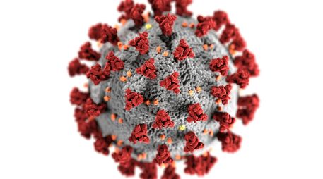 El Nipah aparece en la lista de patógenos prioritarios de la Organización Mundial de la Salud (OMS). UNSPLASH / CDC