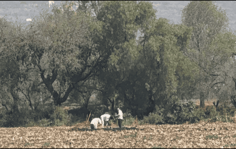 Las autoridades informaron que no existe riesgo para la población; sin embargo, exhortaron a la ciudadanía a permitir el libre tránsito del personal de emergencia. CORTESÍA/ Secretaría de Seguridad Pública de Hidalgo