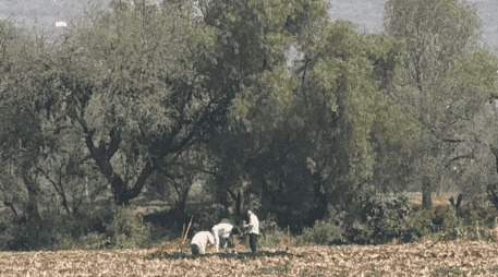 Las autoridades informaron que no existe riesgo para la población; sin embargo, exhortaron a la ciudadanía a permitir el libre tránsito del personal de emergencia. CORTESÍA/ Secretaría de Seguridad Pública de Hidalgo