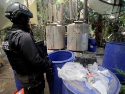 En total se incautaron algo más de 105 toneladas, que posteriormente fueron destruidas, de sustancias como acetato de plomo, cloruro de mercurio, entre otras. EFE/J. C. Cruz