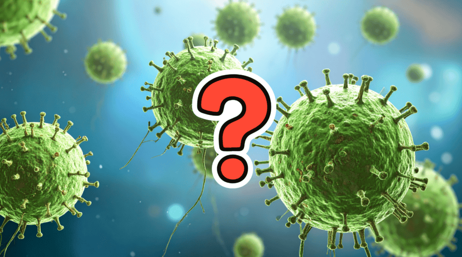 La alerta se originó cuando, el 12 de enero de 2026, fuentes oficiales notificaron dos casos sospechosos de infección por Nipah, de acuerdo con el boletín epidemiológico más reciente de la oficina regional de la Organización Mundial de la Salud (OMS) para el Sudeste Asiático. CANVA