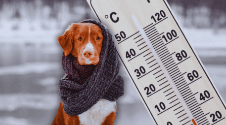 Por el frente frío 32, se prevén condiciones para la caída de lluvia engelante o aguanieve en zonas altas de Chihuahua, Coahuila y Nuevo León. ESPECIAL / CANVA