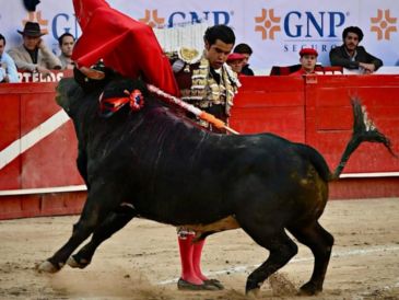 En el marco de la segunda corrida de la feria de aniversario, el matador queretano se alzó como el gran triunfador tras cortar dos apéndices. CORTESÍA/ Plaza de Toros Nuevo Progreso.