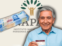 Con este programa, el Inapam pretende fomentar la inclusión de los adultos mayores en la sociedad.  ESPECIAL/Inapam/Canva