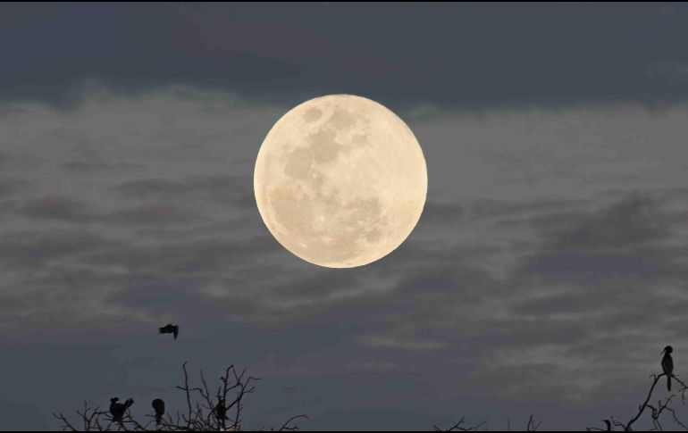 La Luna de Nieve, la noche de 1 de febrero, en Villahermosa. SUN / ARCHIVO