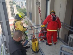 El felino fue localizado en el piso 11 de un inmueble ubicado en avenida Chapultepec. CORTESÍA