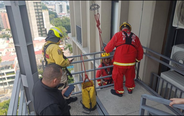 El felino fue localizado en el piso 11 de un inmueble ubicado en avenida Chapultepec. CORTESÍA