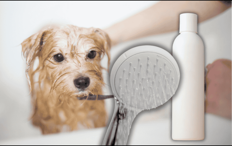 Para que el baño realmente aporte beneficios, es importante prestar atención a ciertos aspectos y evitar errores comunes. ESPECIAL/Unplash