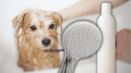 Para que el baño realmente aporte beneficios, es importante prestar atención a ciertos aspectos y evitar errores comunes. ESPECIAL/Unplash