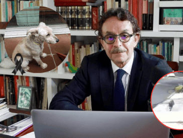 Difunden nuevas imágenes del ataque al perro de Quadri. ESPECIAL / X / @g_quadri