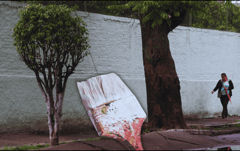 No es pintura como tal, de hecho, no se recomienda utilizar ninguna; es más bien cal hidratada, también llamada cal apagada o hidróxido de calcio. EL INFORMADOR / ARCHIVO