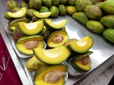 El aguacate se ha ganado un lugar privilegiado en la alimentación cotidiana de millones de personas, no solo por su sabor, sino por la percepción de que es un alimento “bueno para la salud”. NTX / ARCHIVO