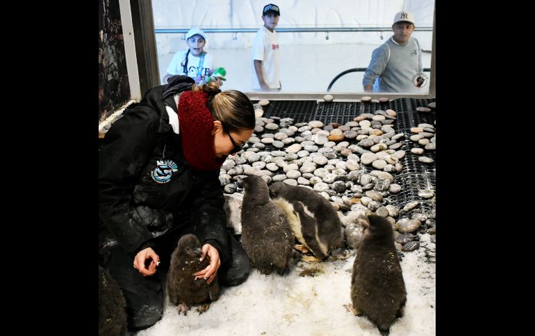 Te recordamos que el Zoológico Guadalajara se encuentra muy cerca de la Barranca de Huentitán. ESPECIAL/ Zoológico Guadalajara