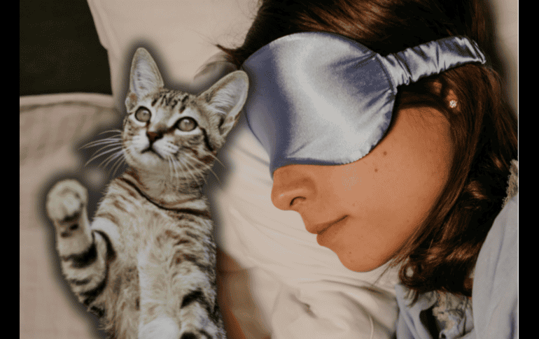 Un error común entre los propietarios es asumir que el gato tiene hambre cuando maúlla de madrugada. ESPECIAL