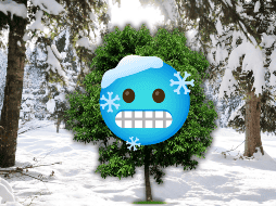 Las bajas temperaturas reducen la pérdida de agua, lo que disminuye el riesgo de deshidratación. ESPECIAL