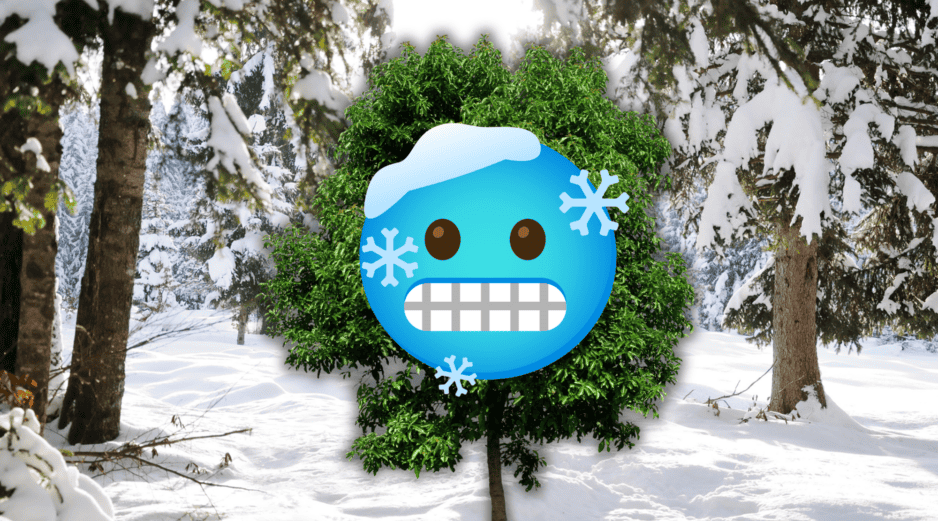 Las bajas temperaturas reducen la pérdida de agua, lo que disminuye el riesgo de deshidratación. ESPECIAL