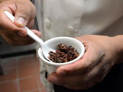 Esto es lo que pasa si se comen chapulines a menudo. NTX / ARCHIVO