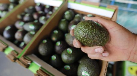 Para esta edición, el Super Bowl ha llamado para su popular espectáculo de medio tiempo al cantante puertorriqueño Bad Bunny. EFE/ARCHIVO