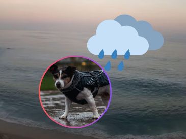 Este domingo continuará un anticiclón en niveles medios de la atmósfera, manteniendo ambiente cálido a caluroso en gran parte del país. UNSPLASH / M. Lindo / ESPECIAL / Webcams de México