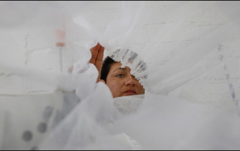 El 52% de las personas trabajadoras en esta industria carece de seguridad social. EFE/F. Guasco