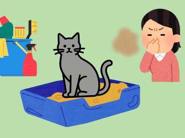 Los gatos deben bañarse al rededor de 3 veces al año, cada 3 o 4 meses, en especial si suelen salir de casa. CANVA