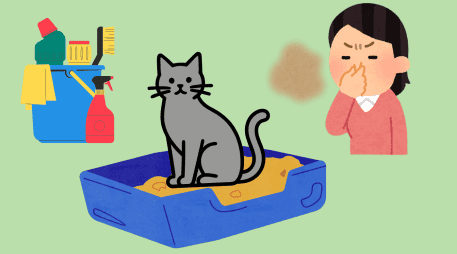 Los gatos deben bañarse al rededor de 3 veces al año, cada 3 o 4 meses, en especial si suelen salir de casa. CANVA