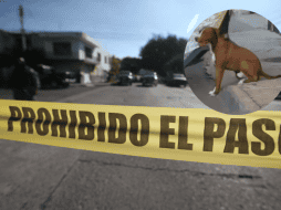 Al lugar llegaron paramédicos quienes confirmaron que el cuerpo de Don Mario no presentaba huellas de violencia, sin embargo, continúa la investigación respecto a su muerte. ESPECIAL/ EL INFORMADOR/ ARCHIVO