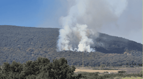 El presidente municipal afirmó que las autoridades estarán al pendiente y alertas, pues se estima que el 98% de los incendios son provocados. EL INFORMADOR/J. Velazco
