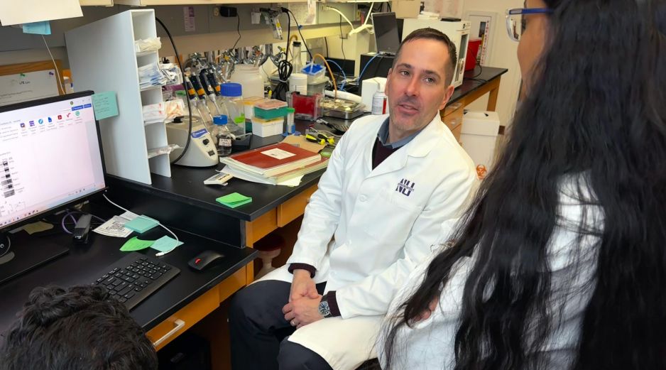 Este análisis respalda el efecto positivo del levetiracetam para frenar la progresión de la patología de Alzhéimer. EFE/Universidad Northwestern
