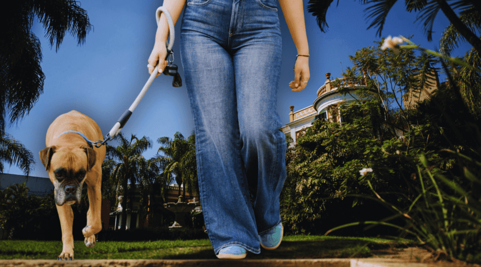 Un estímulo más para tomar la decisión, es que estamos próximos a la primavera y el espectáculo de floración en la vía es prometedor, porque cuenta con densidad en plantas y árboles que acompañan a las fincas. ESPECIAL / CANVA