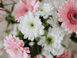 Este 14 de febrero regala flores dependiendo del mensaje y sentimiento que quieras transmitirle a la otra persona. CANVA