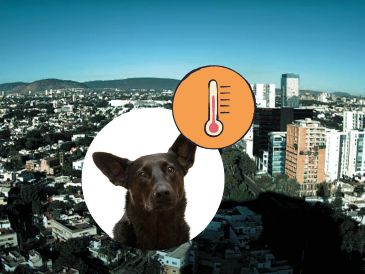 Gran parte de México, incluiyendo Guadalajara, será afectado por la circulación anticiclónica, lo que propiciará afectaciones en las temperaturas. UNSPLASH / D. Lezcano / ESPECIAL / Webcams de México