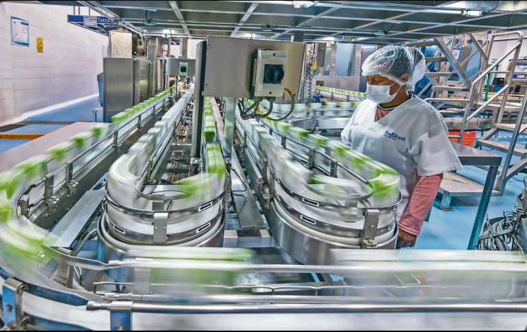 Representantes de la CONCANACO plantearon una transición gradual para garantizar estabilidad laboral y económica. ESPECIAL