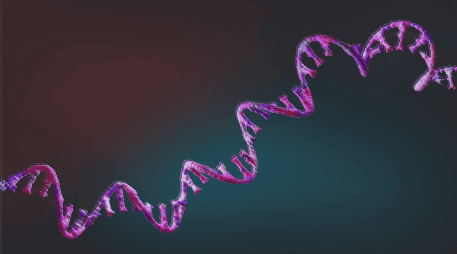 Frente a un mismo virus, algunos anticuerpos aumentan con la edad mientras otros disminuyen. ESPECIAL
