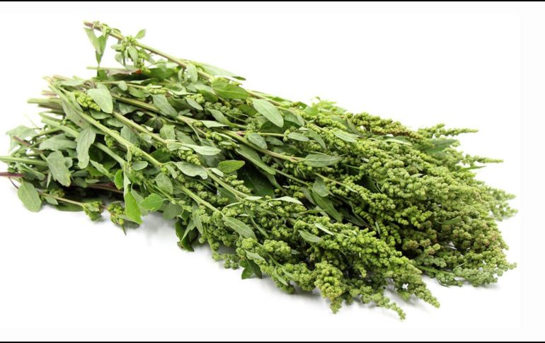 El huauzontle combina tradición, sabor y beneficios nutricionales en un solo ingrediente mexicano. ESPECIAL/GOBIERNO DE MÉXICO